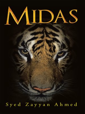 cover image of Midas